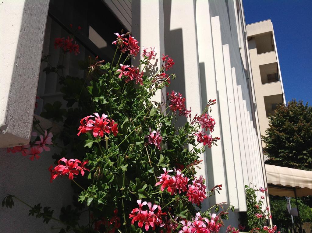Hotel Arpa Rimini Exterior photo